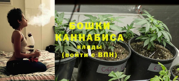 spice Михайлов