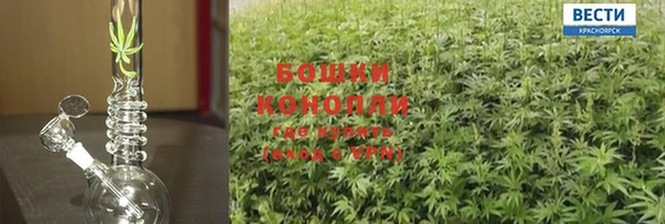 сатива Михайловск