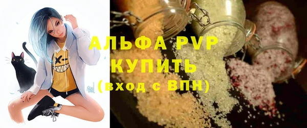 СК Надым