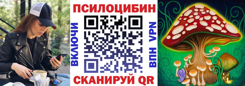 Псилоцибиновые грибы Psilocybine cubensis  Новый Уренгой 