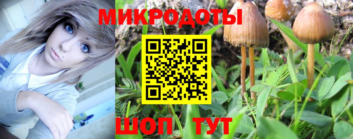 Псилоцибиновые грибы ЛСД Новый Уренгой